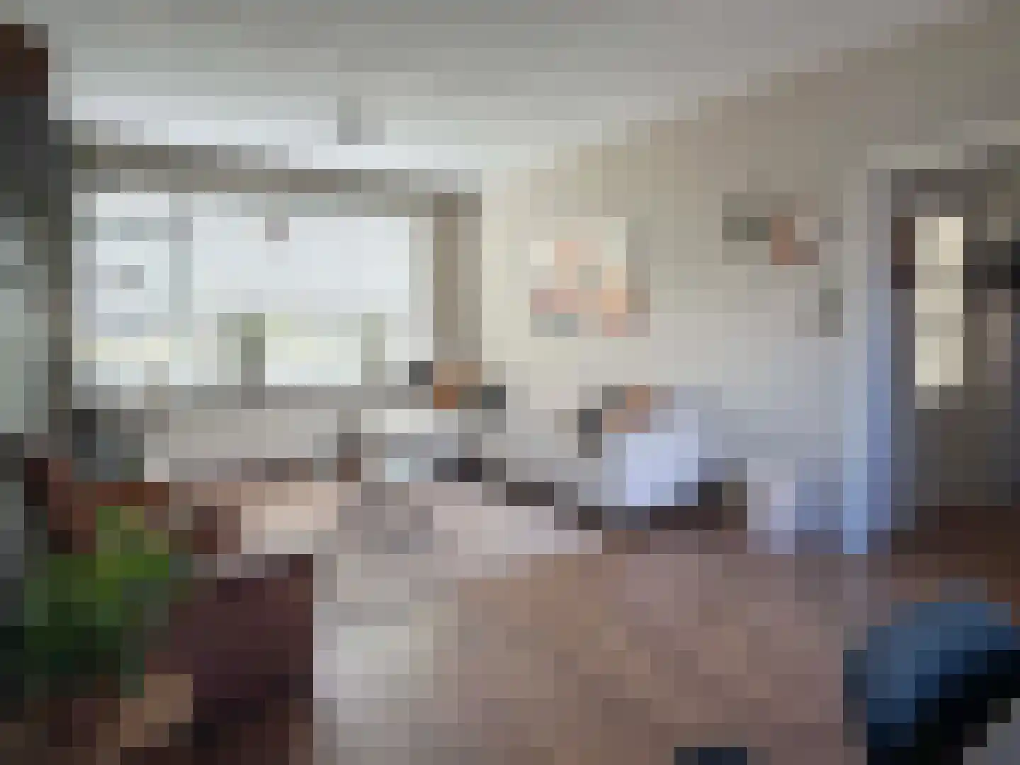 E E G laan 15 Coevorden thumbnail 5
