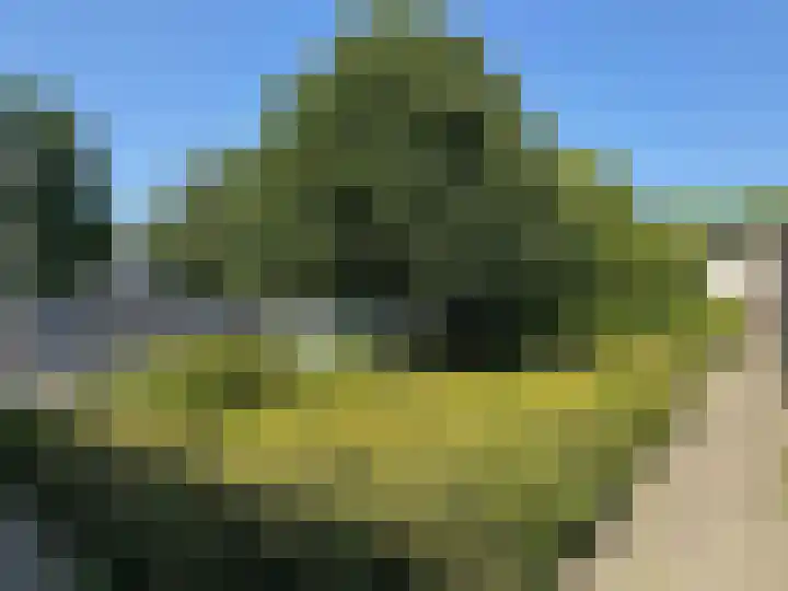 E E G laan 17 Coevorden thumbnail 11