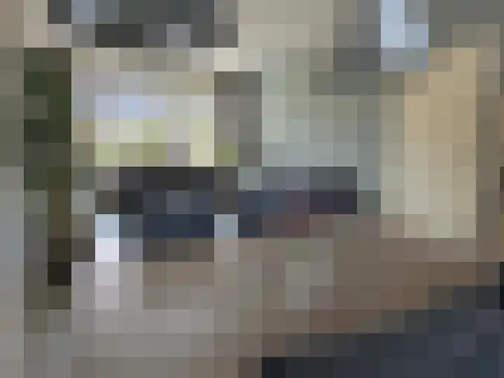 E E G laan 17 Coevorden thumbnail 13