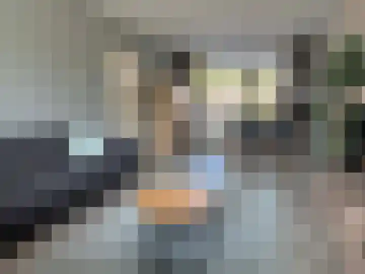 E E G laan 17 Coevorden thumbnail 14