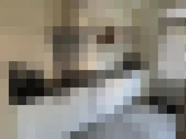 E E G laan 17 Coevorden thumbnail 15