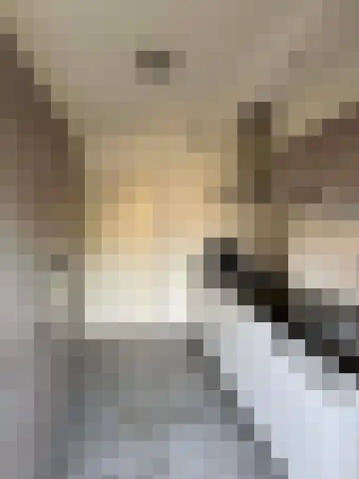 E E G laan 17 Coevorden thumbnail 17