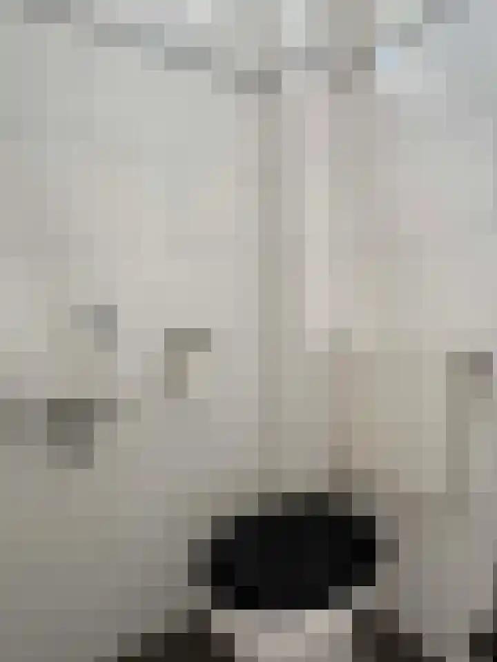 E E G laan 17 Coevorden thumbnail 18