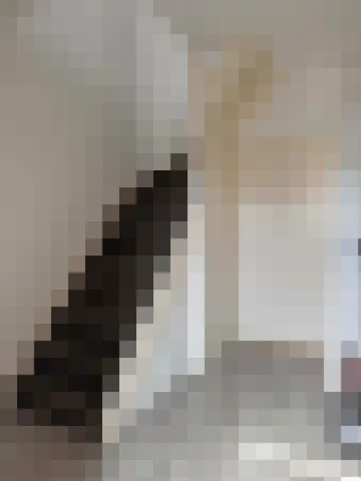 E E G laan 17 Coevorden thumbnail 19
