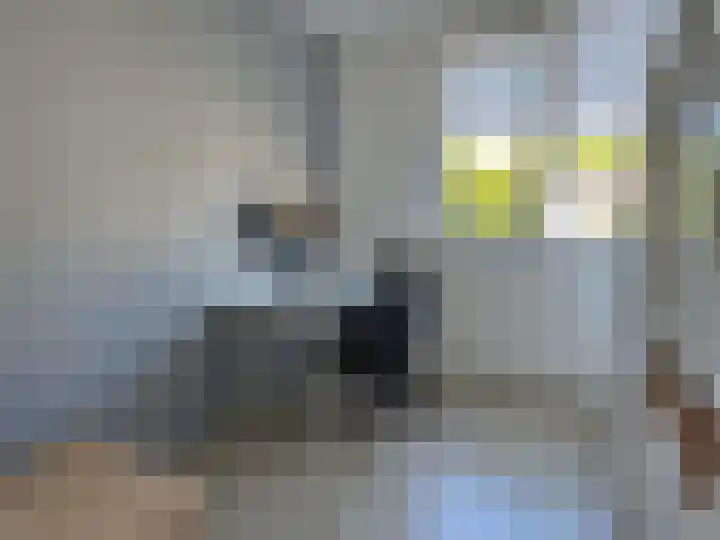 E E G laan 17 Coevorden thumbnail 21