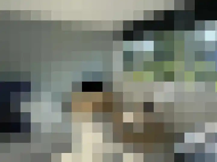 E E G laan 17 Coevorden thumbnail 22