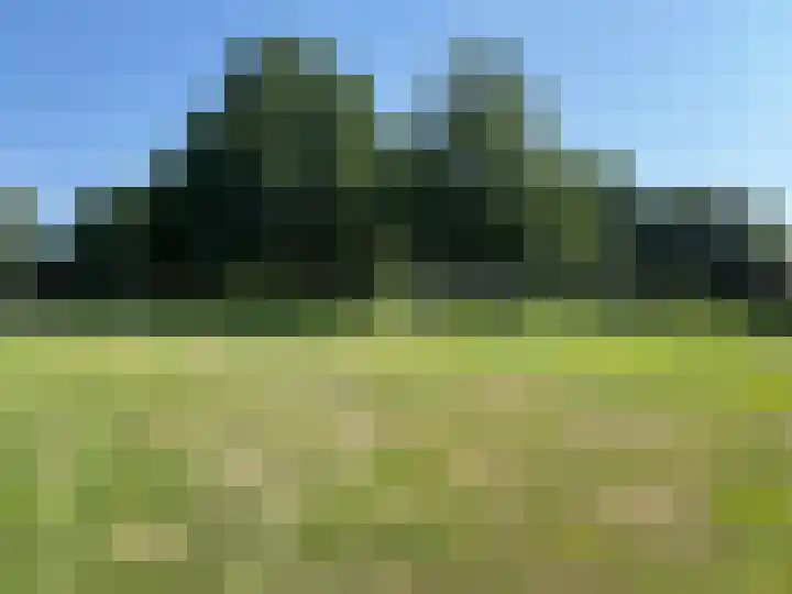 E E G laan 17 Coevorden thumbnail 7