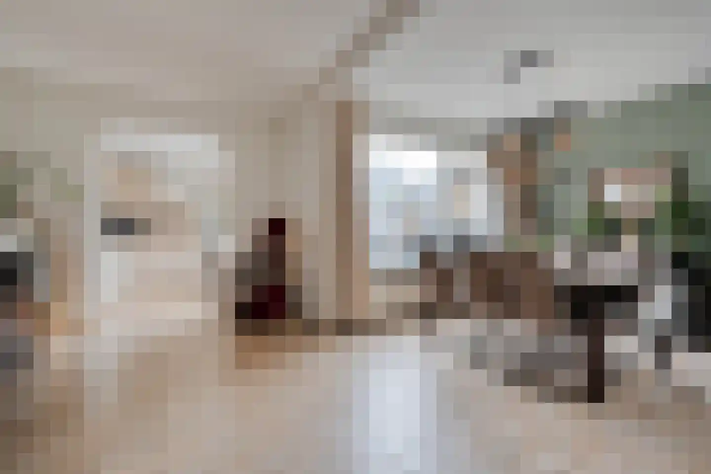E E G laan 18 Coevorden thumbnail 10