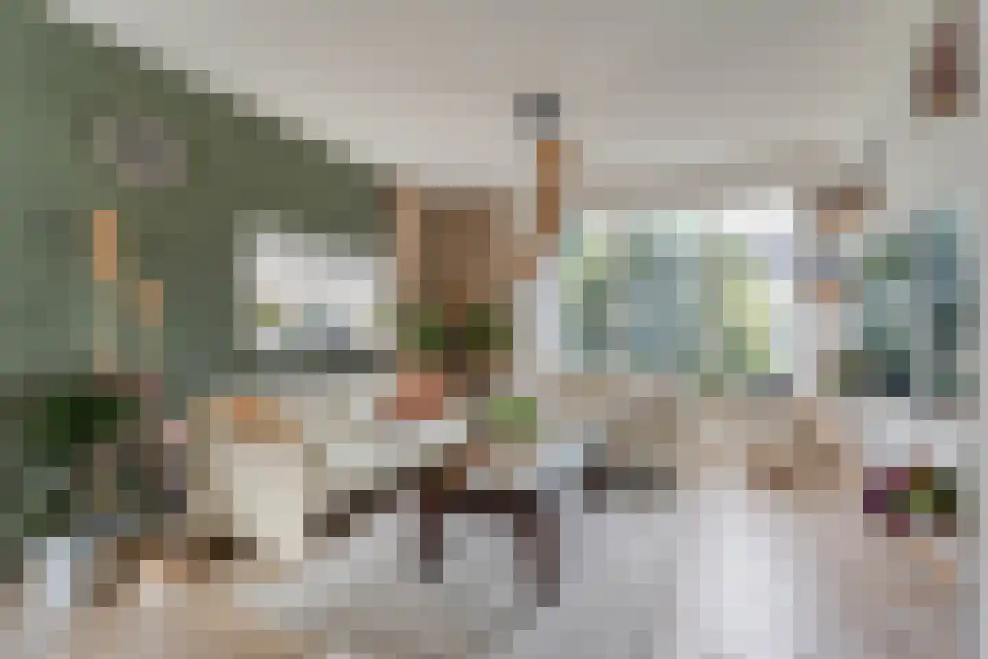 E E G laan 18 Coevorden thumbnail 12