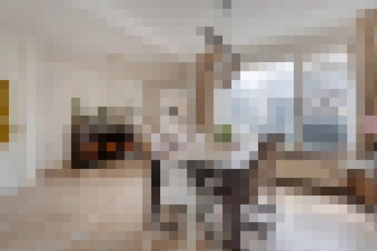 E E G laan 18 Coevorden thumbnail 13