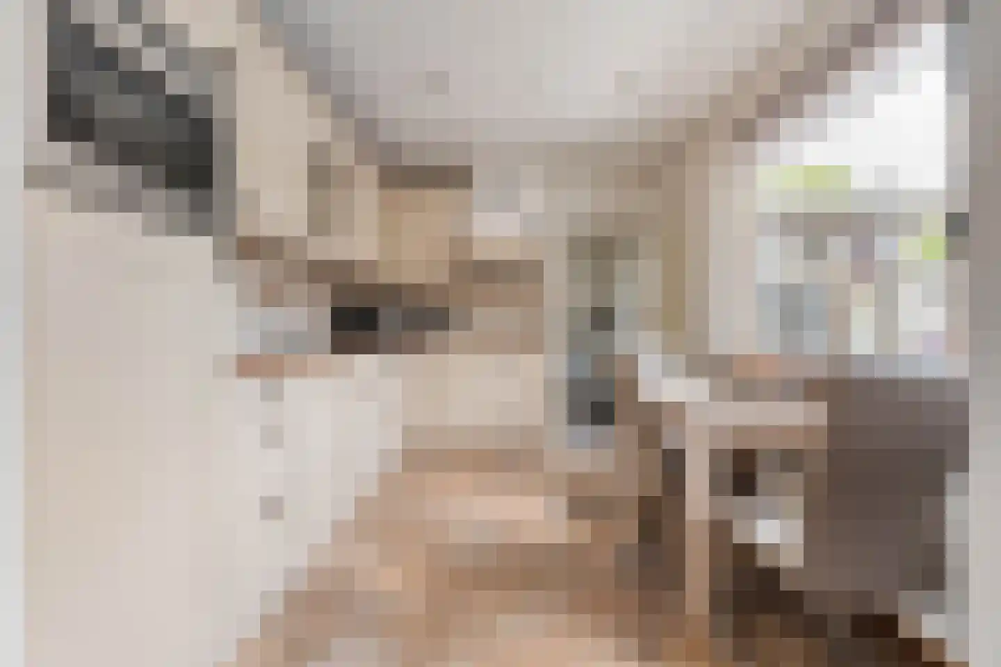 E E G laan 18 Coevorden thumbnail 14