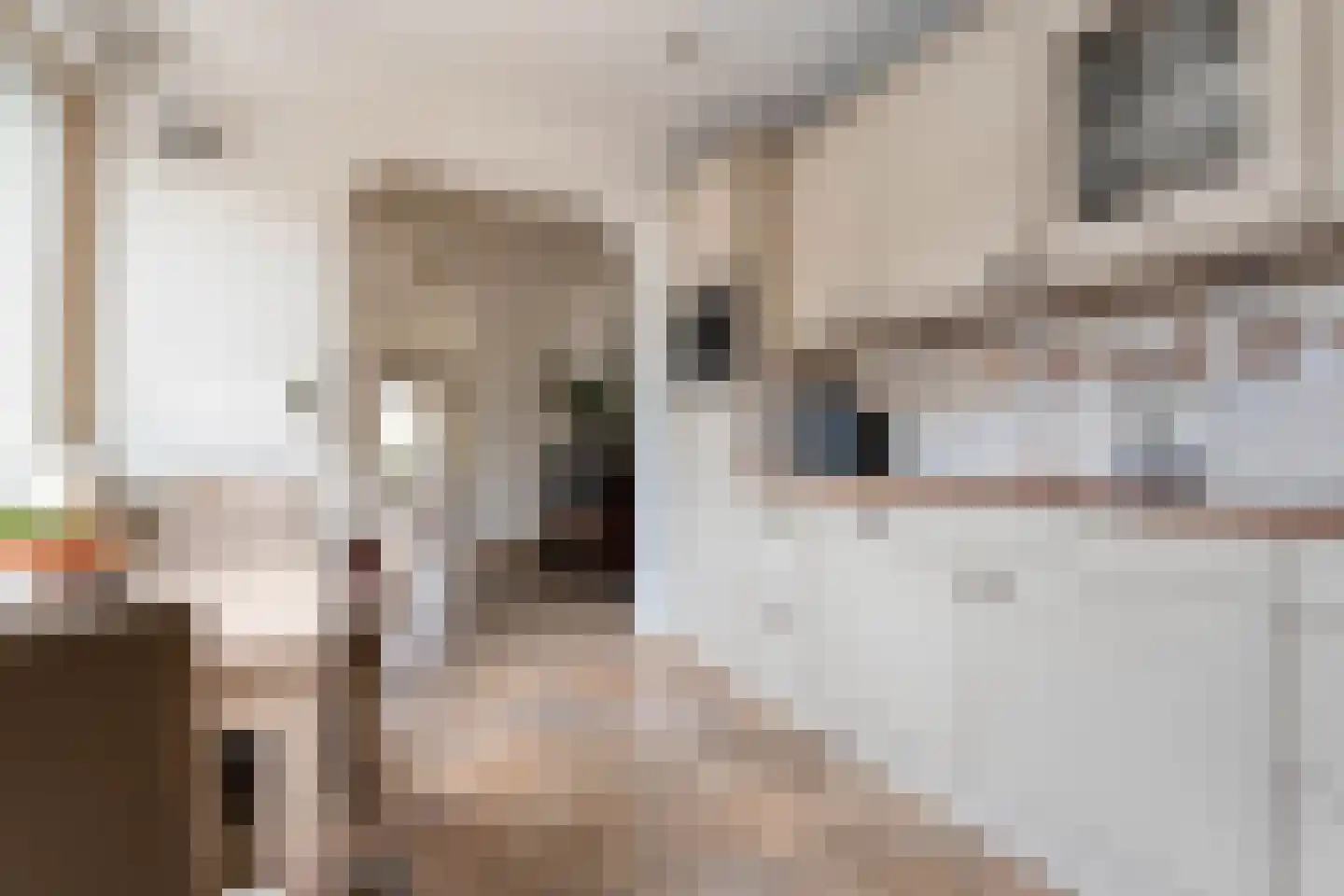 E E G laan 18 Coevorden thumbnail 15