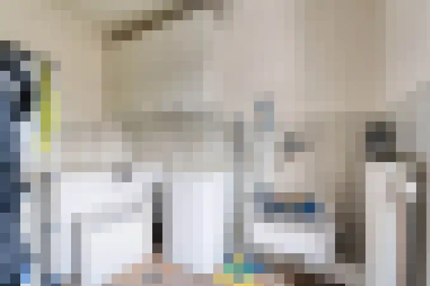 E E G laan 18 Coevorden thumbnail 16