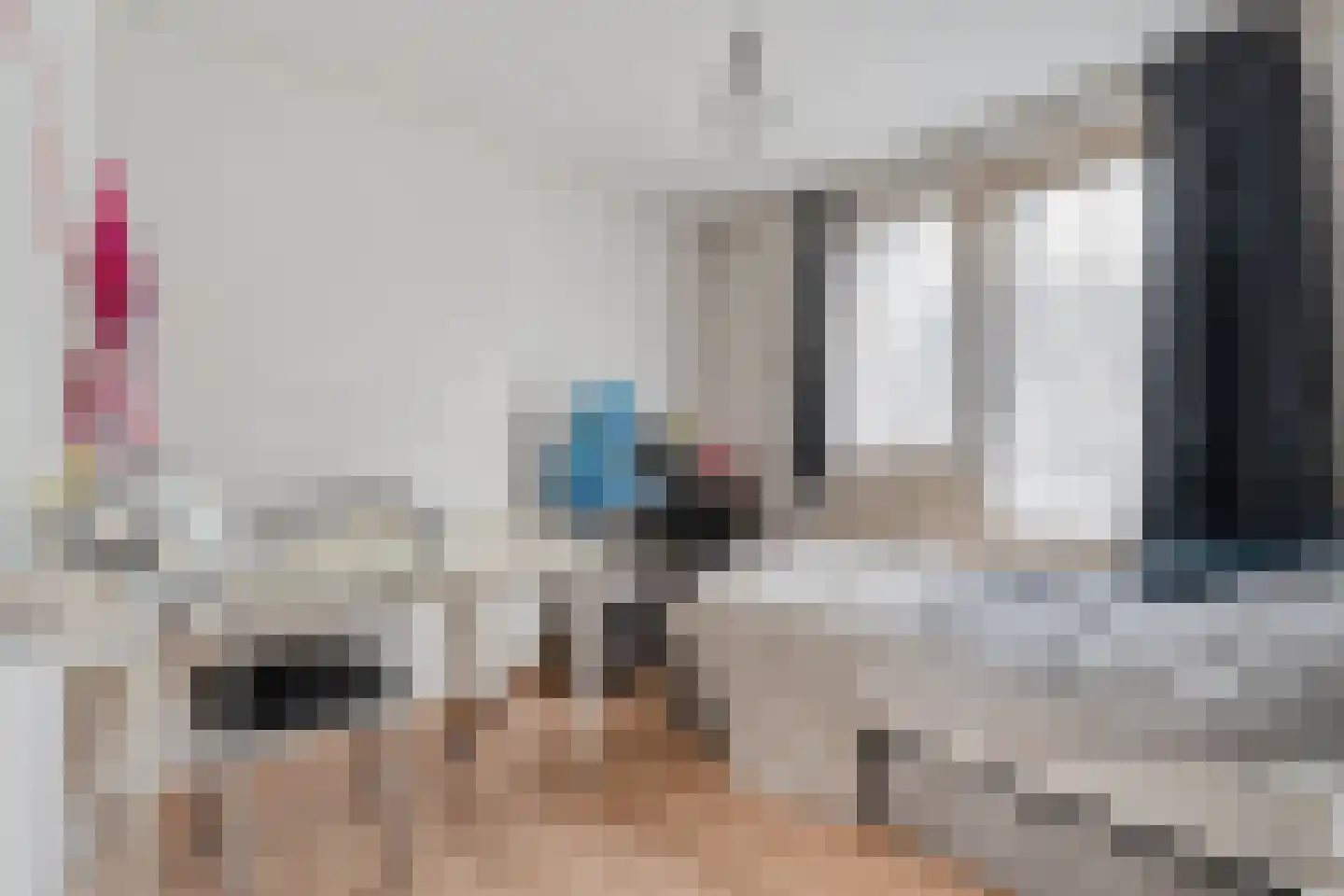 E E G laan 18 Coevorden thumbnail 17