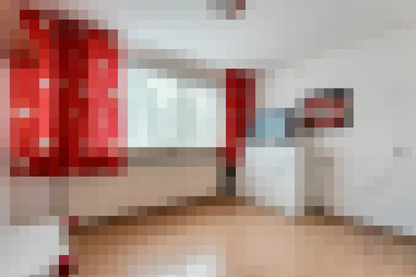E E G laan 18 Coevorden thumbnail 19