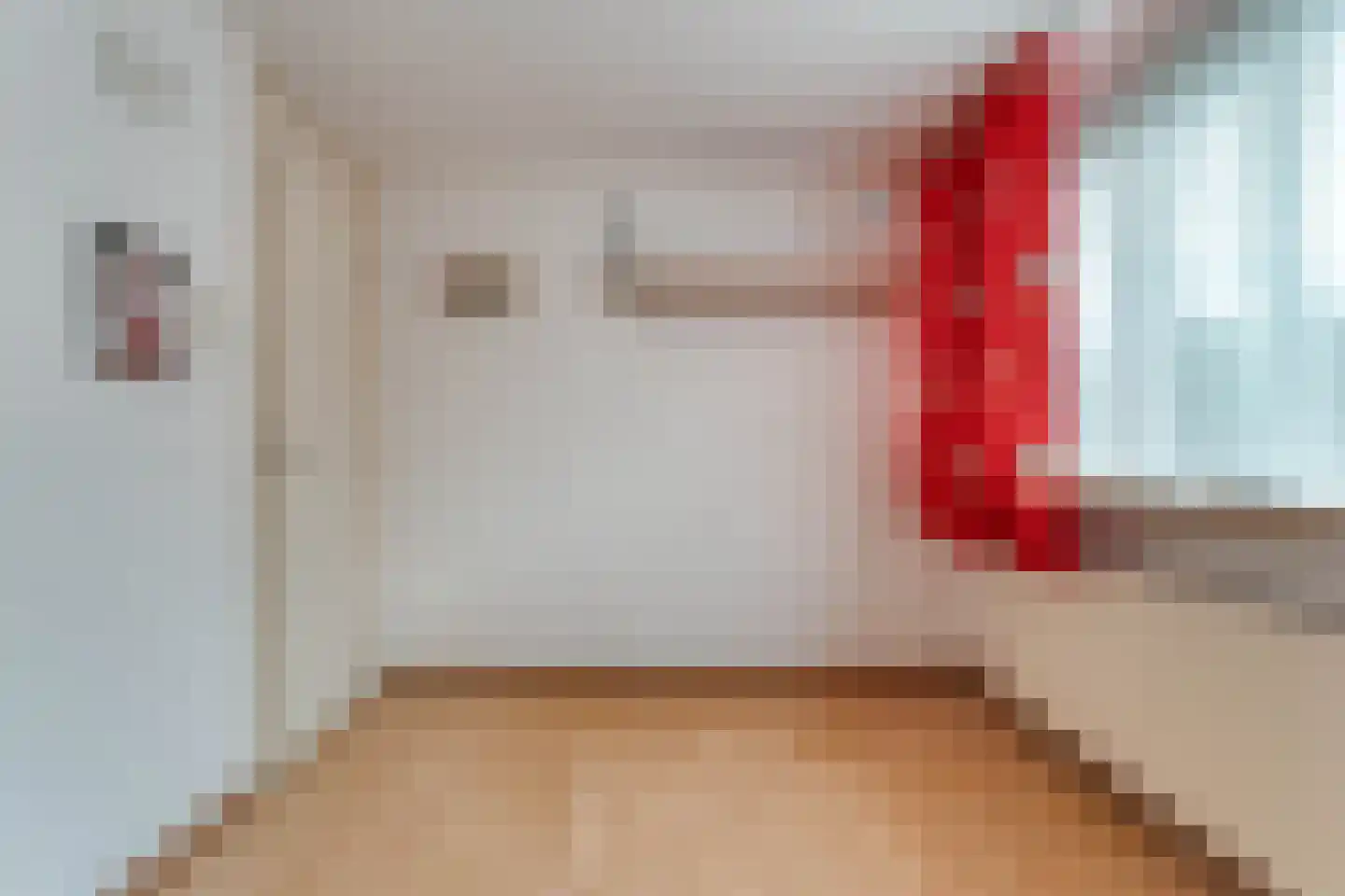 E E G laan 18 Coevorden thumbnail 20