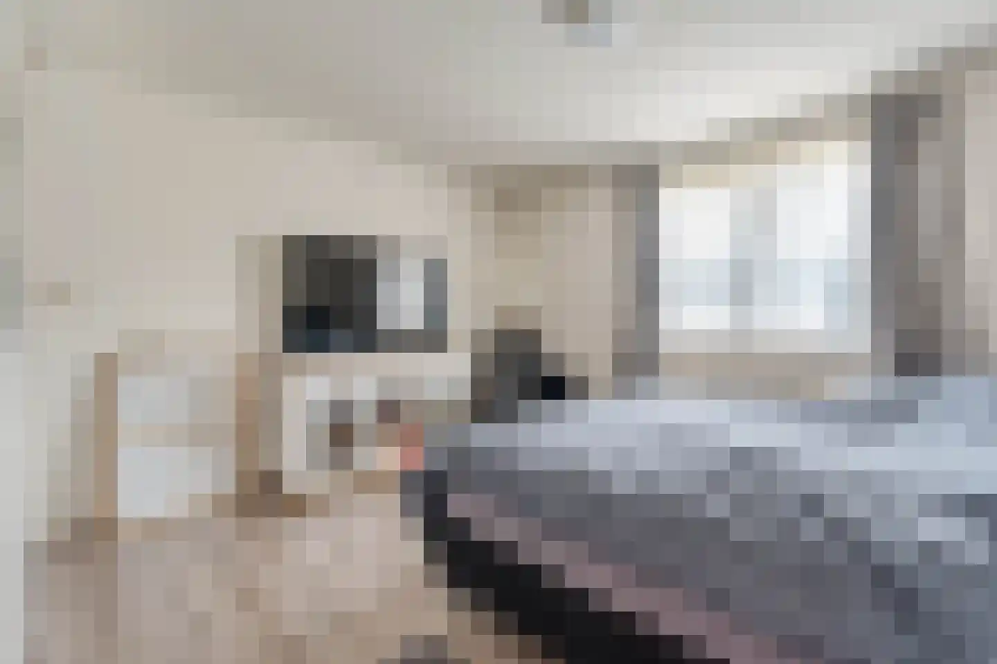 E E G laan 18 Coevorden thumbnail 21