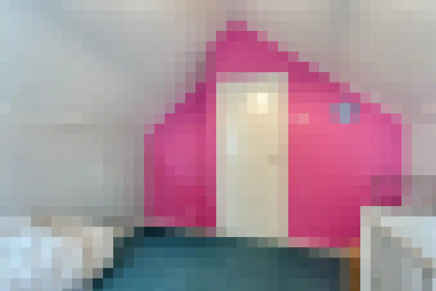 E E G laan 18 Coevorden thumbnail 27