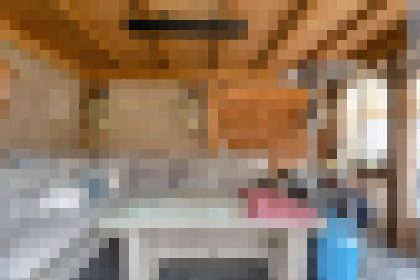 E E G laan 18 Coevorden thumbnail 28