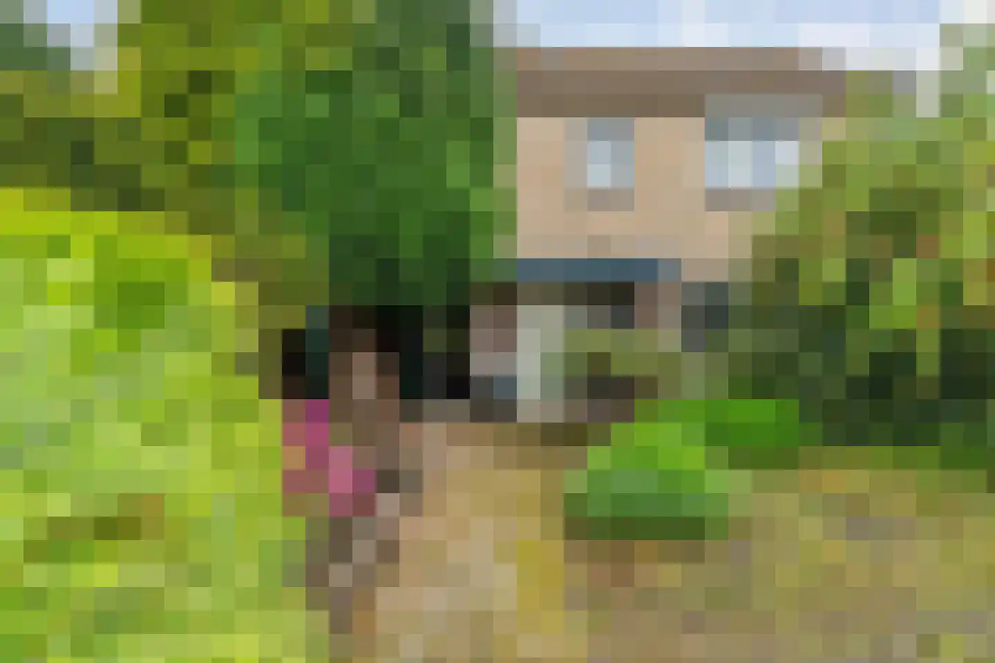 E E G laan 18 Coevorden thumbnail 4