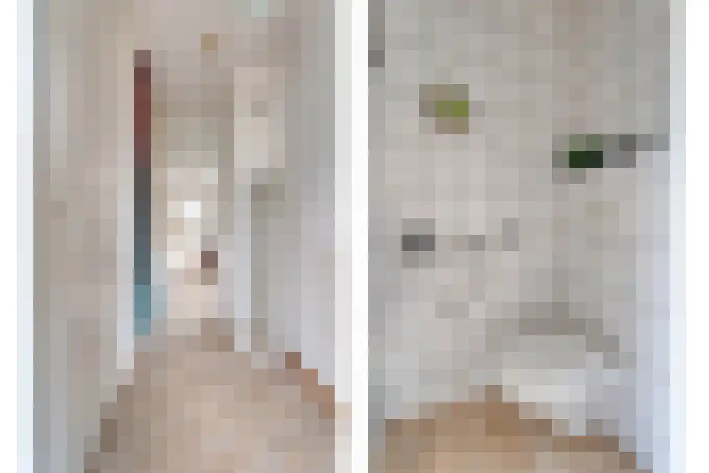 E E G laan 18 Coevorden thumbnail 9