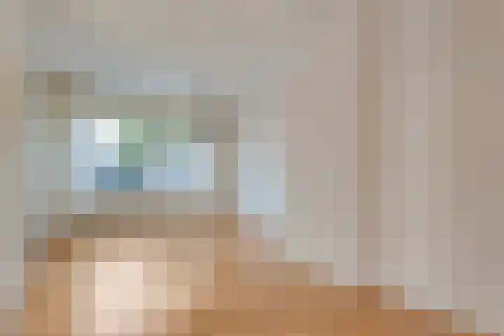 E E G laan 25 Coevorden thumbnail 11
