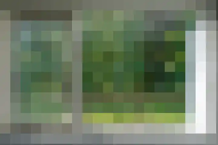 E E G laan 25 Coevorden thumbnail 24