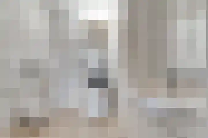 E E G laan 25 Coevorden thumbnail 26