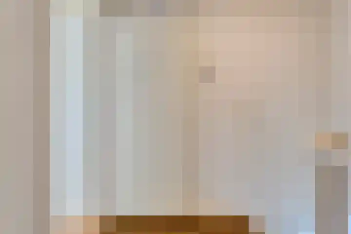 E E G laan 25 Coevorden thumbnail 31