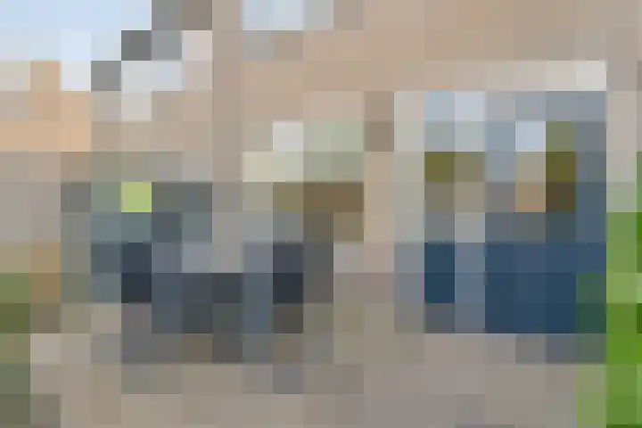 E E G laan 25 Coevorden thumbnail 36