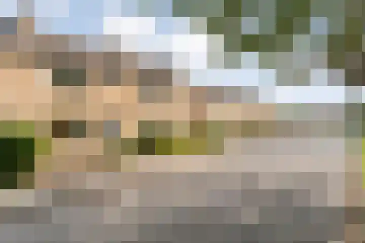 E E G laan 25 Coevorden thumbnail 4