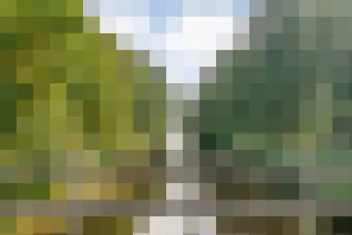 E E G laan 25 Coevorden thumbnail 46