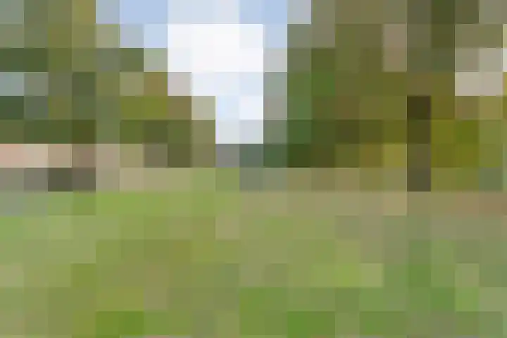 E E G laan 25 Coevorden thumbnail 47