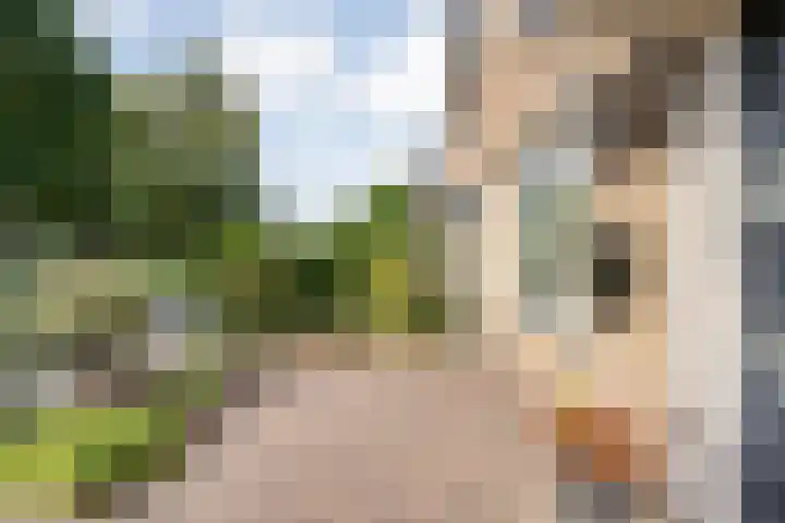 E E G laan 25 Coevorden thumbnail 5