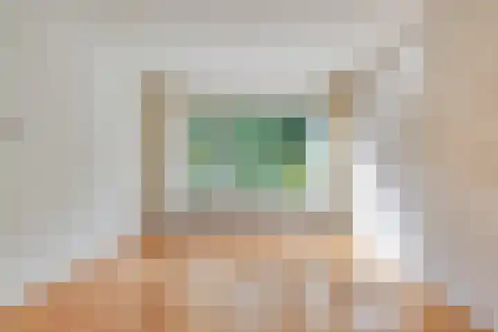 E E G laan 25 Coevorden thumbnail 9