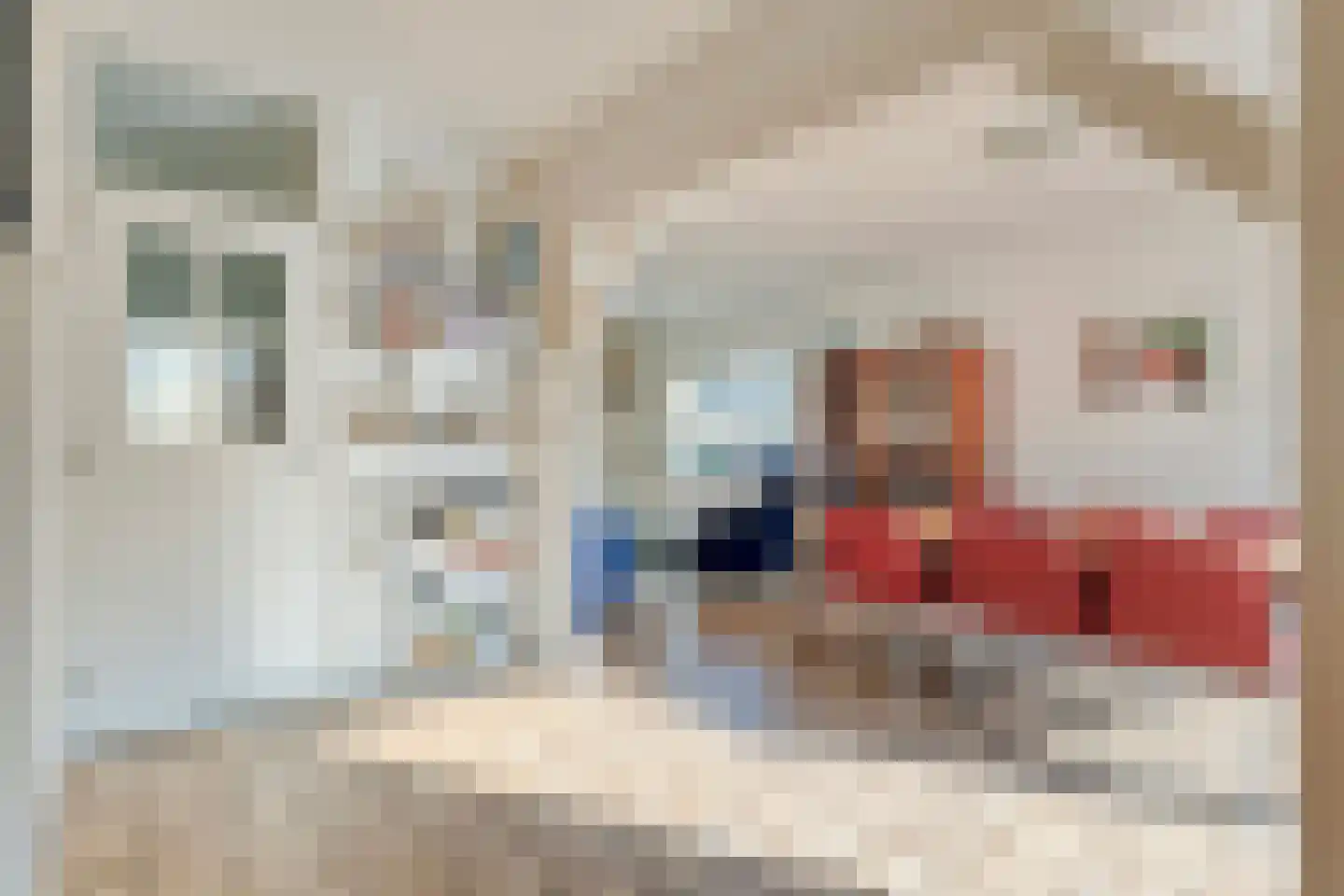 E E G laan 8 Coevorden thumbnail 10