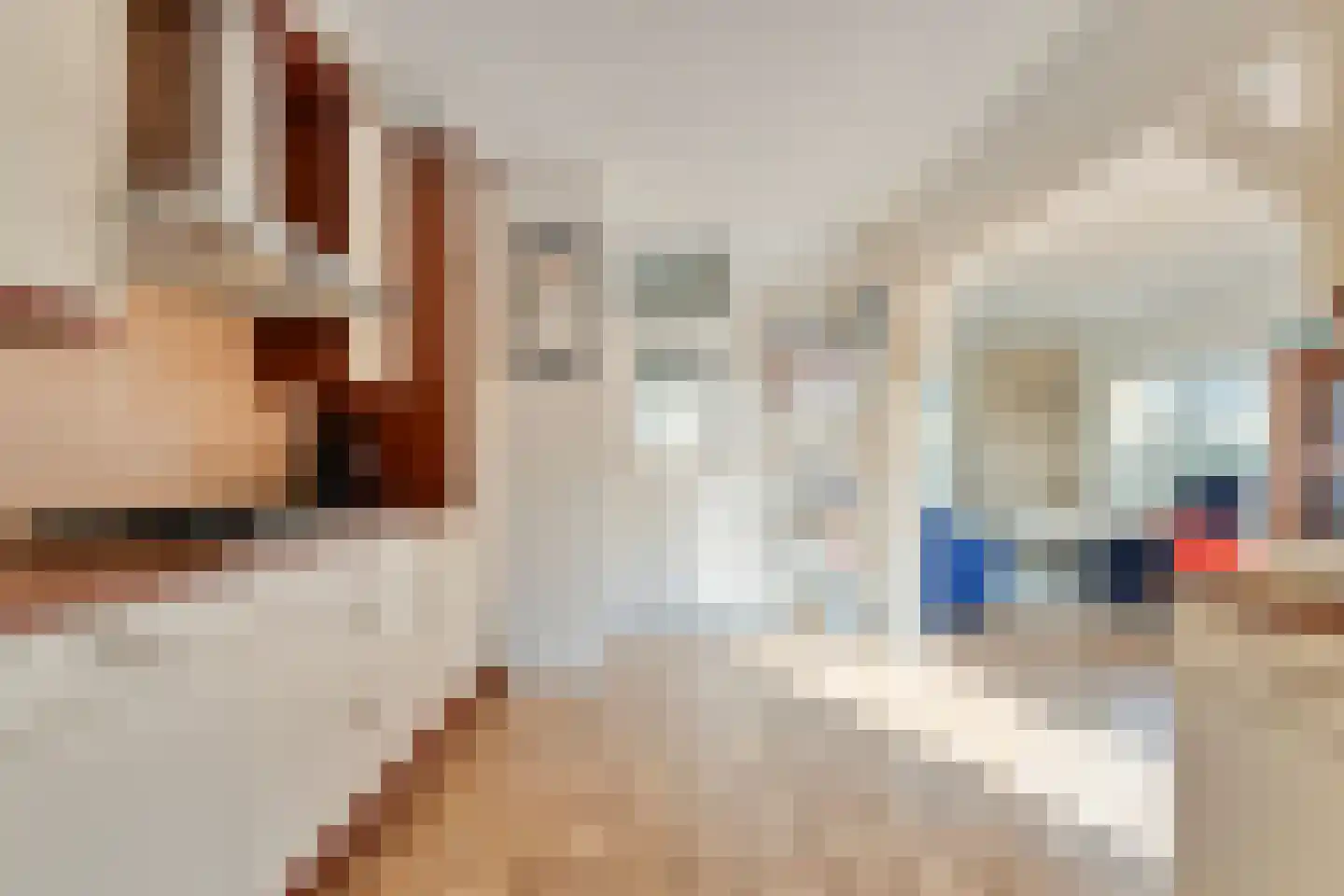 E E G laan 8 Coevorden thumbnail 14