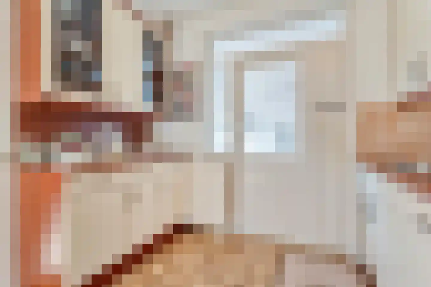 E E G laan 8 Coevorden thumbnail 15