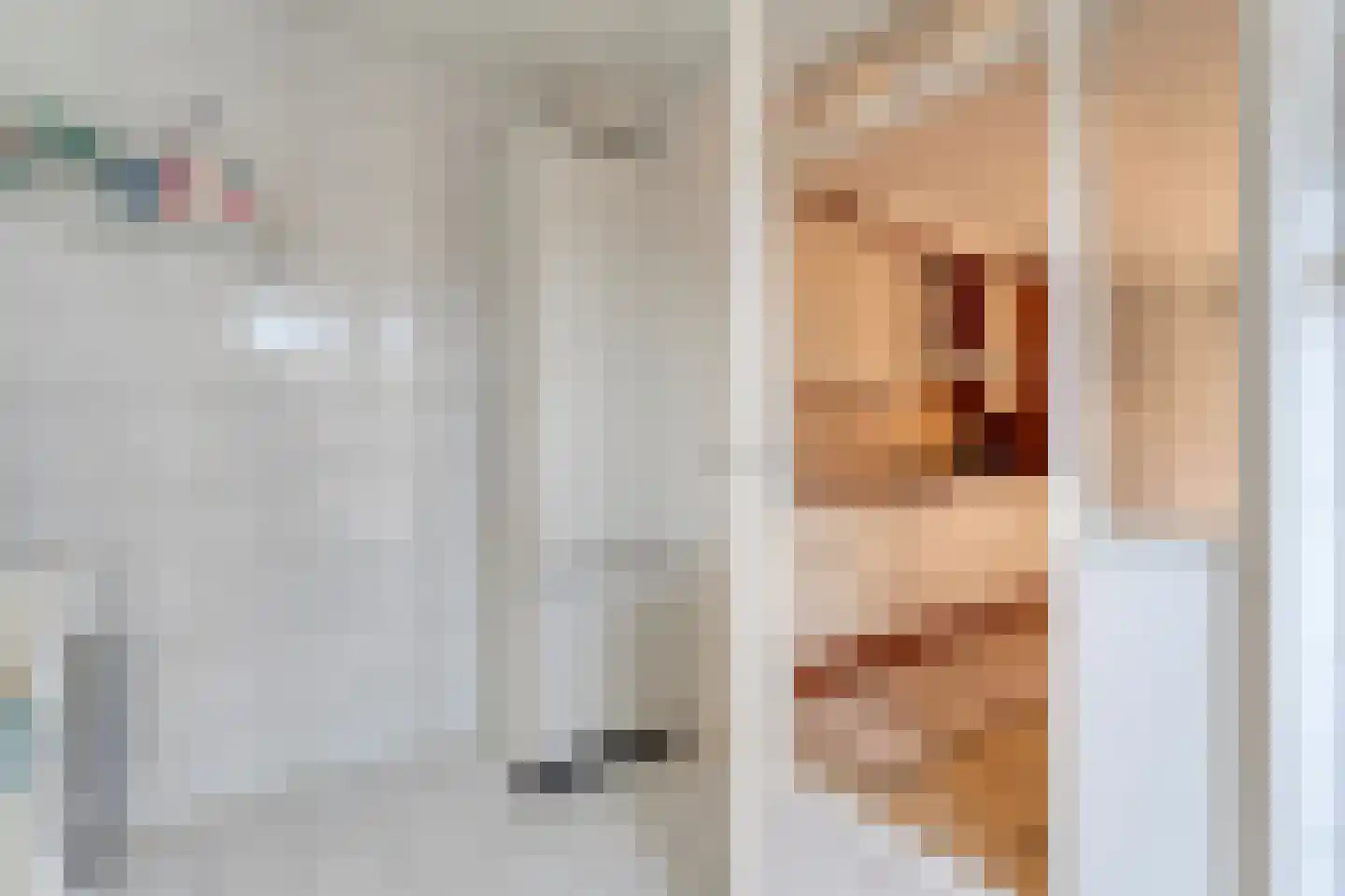E E G laan 8 Coevorden thumbnail 17