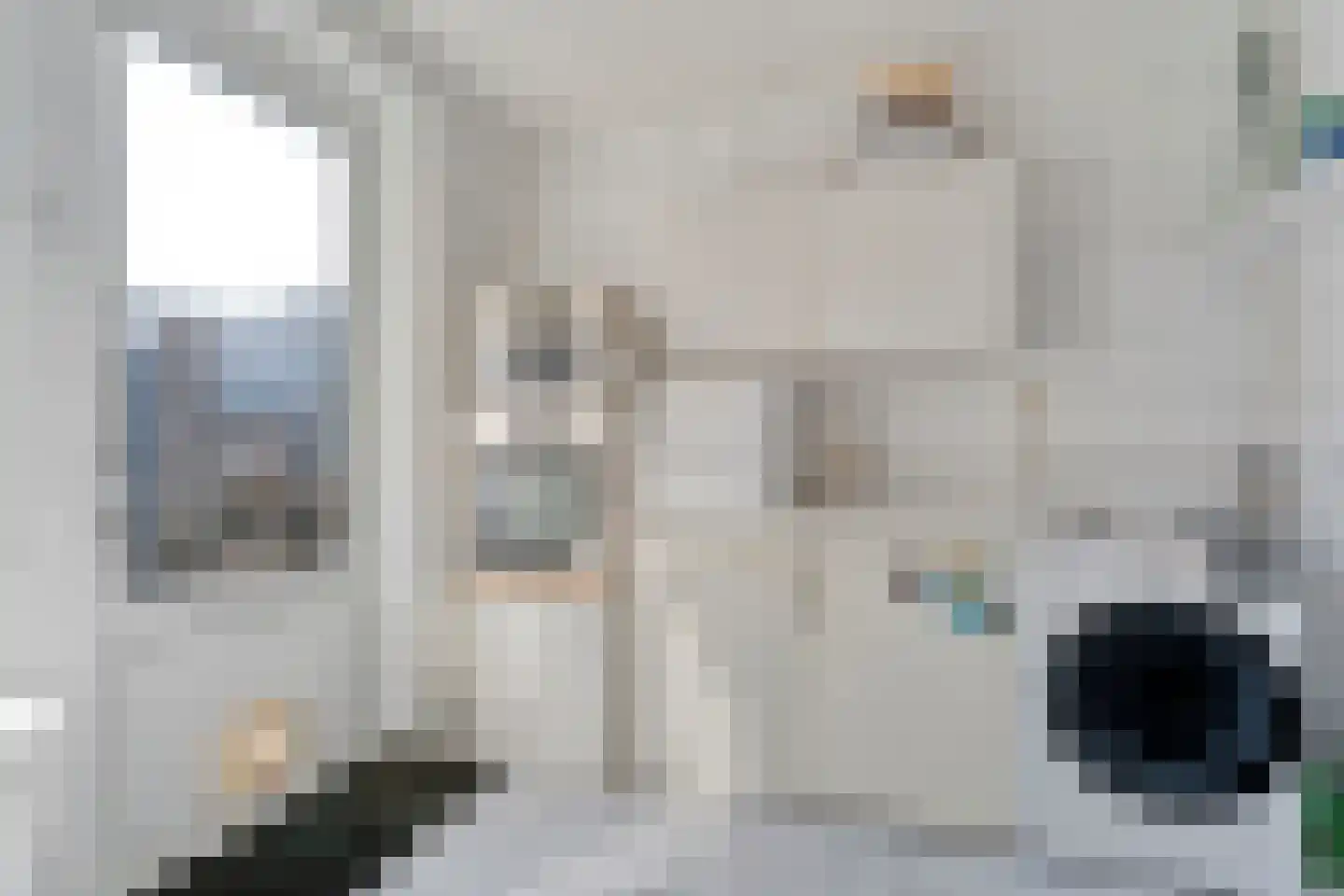 E E G laan 8 Coevorden thumbnail 18