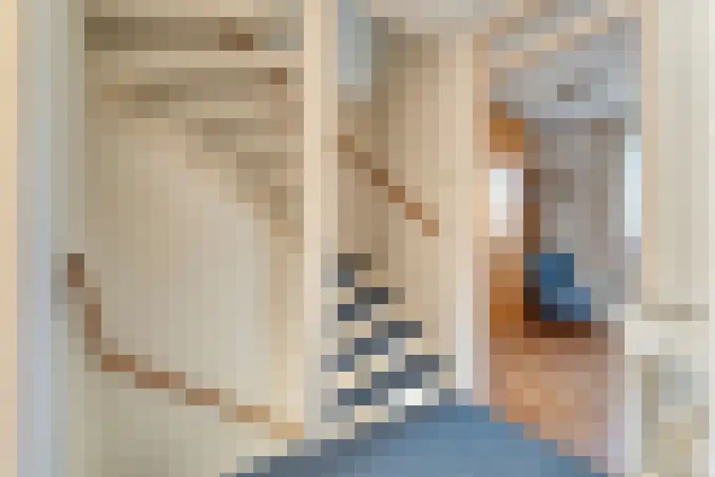E E G laan 8 Coevorden thumbnail 19