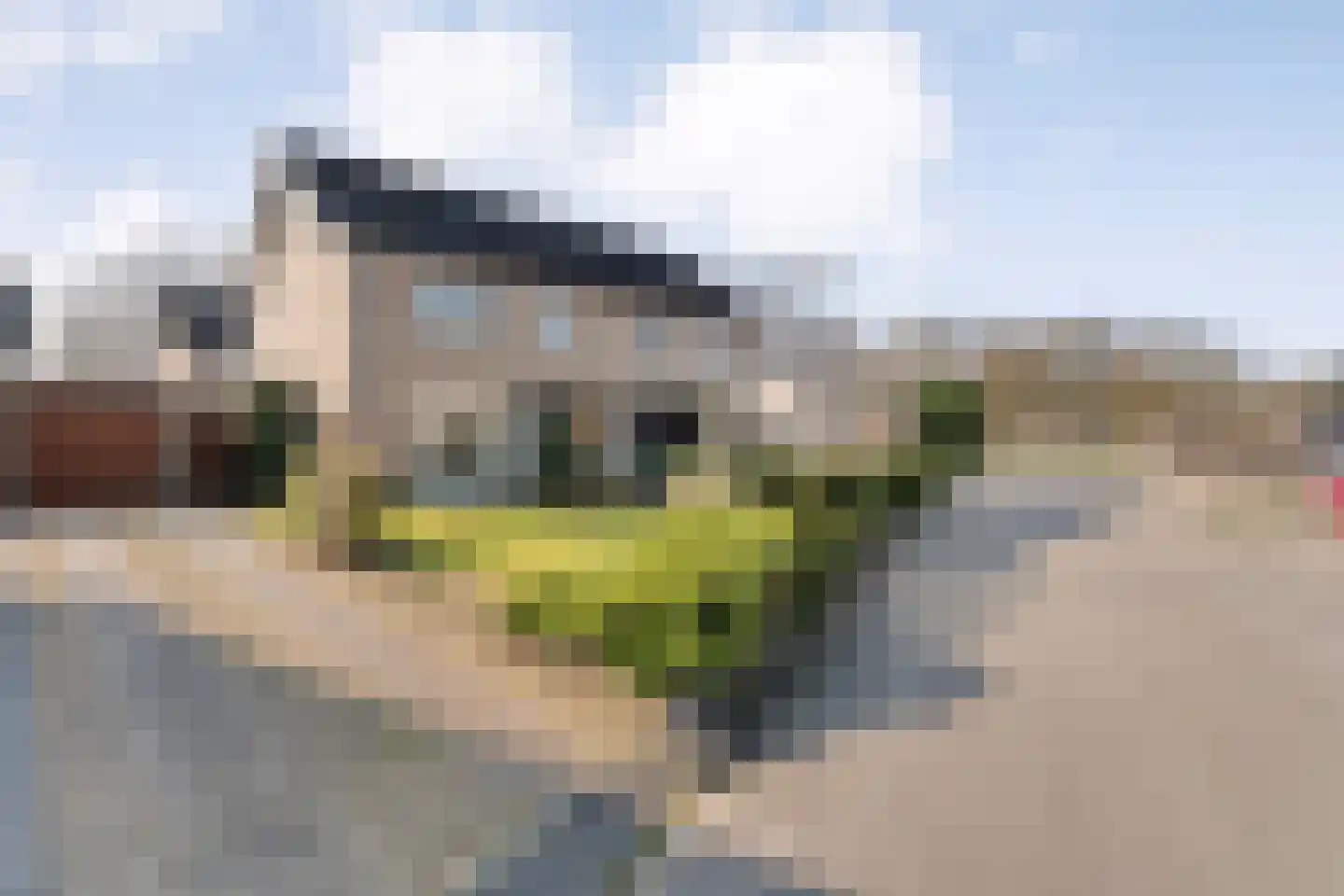 E E G laan 8 Coevorden foto 2
