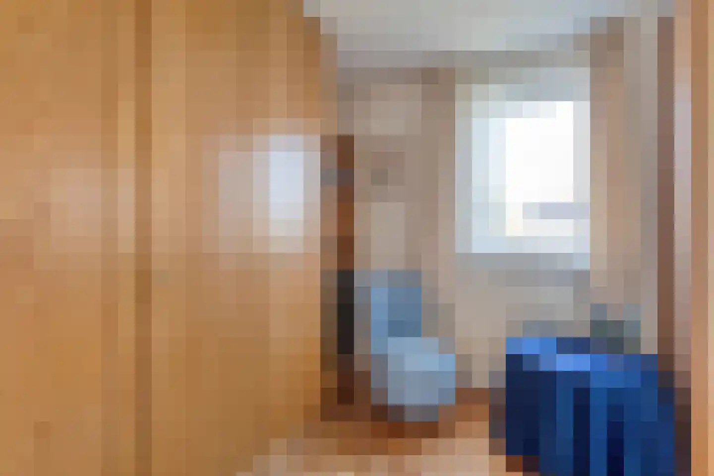 E E G laan 8 Coevorden thumbnail 20