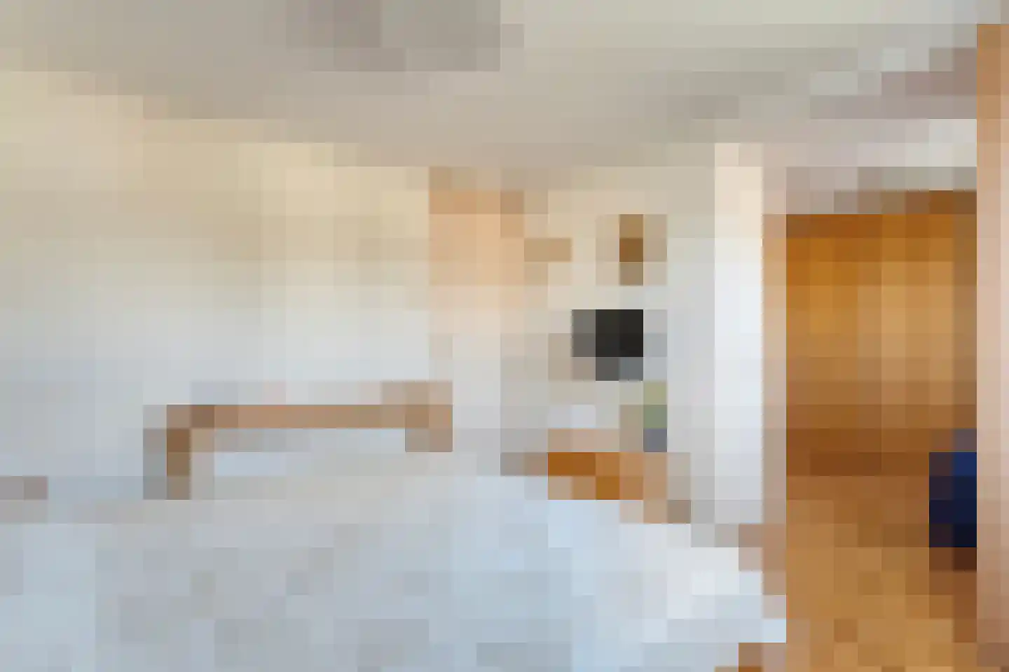 E E G laan 8 Coevorden thumbnail 23
