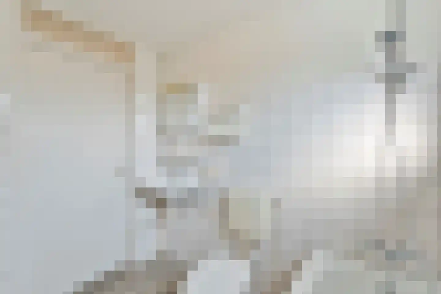 E E G laan 8 Coevorden thumbnail 25