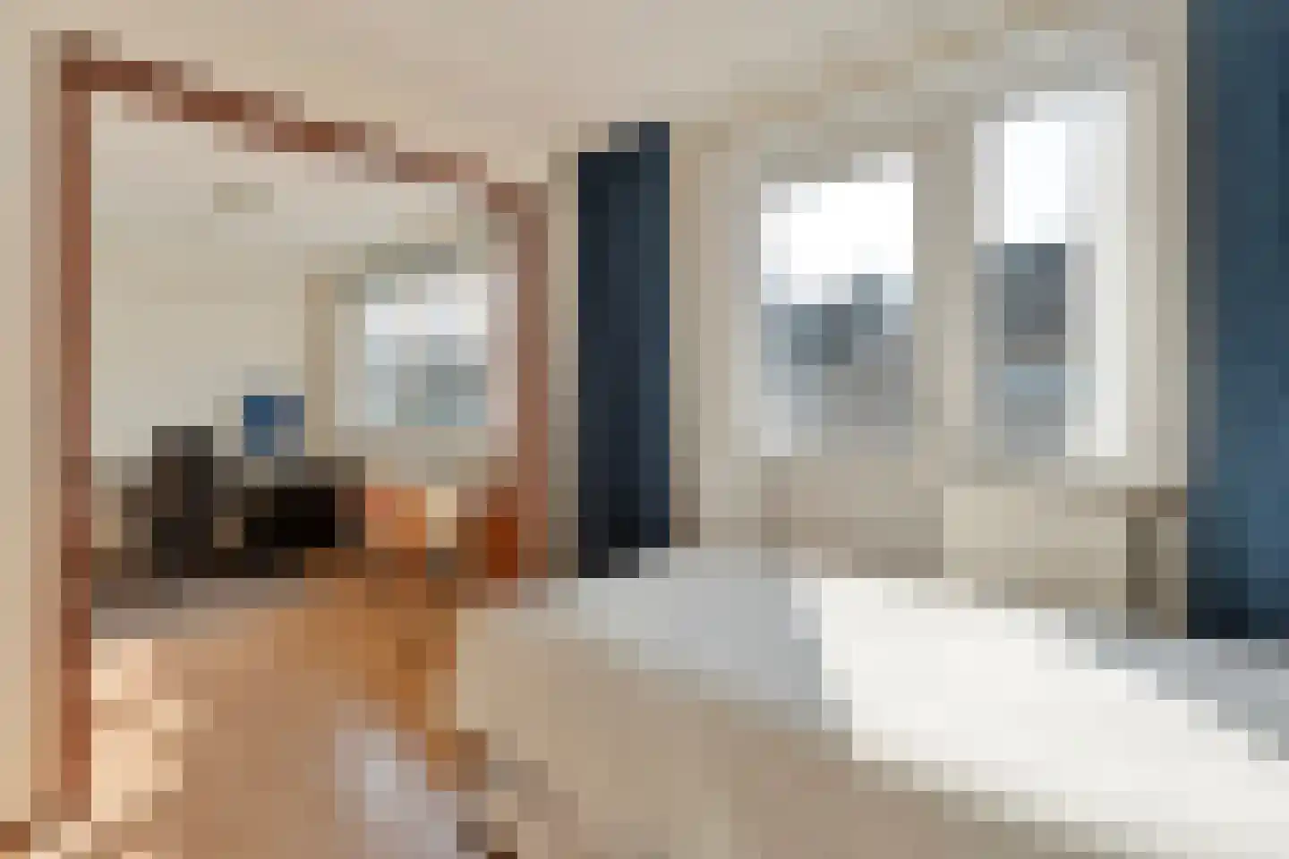 E E G laan 8 Coevorden thumbnail 27
