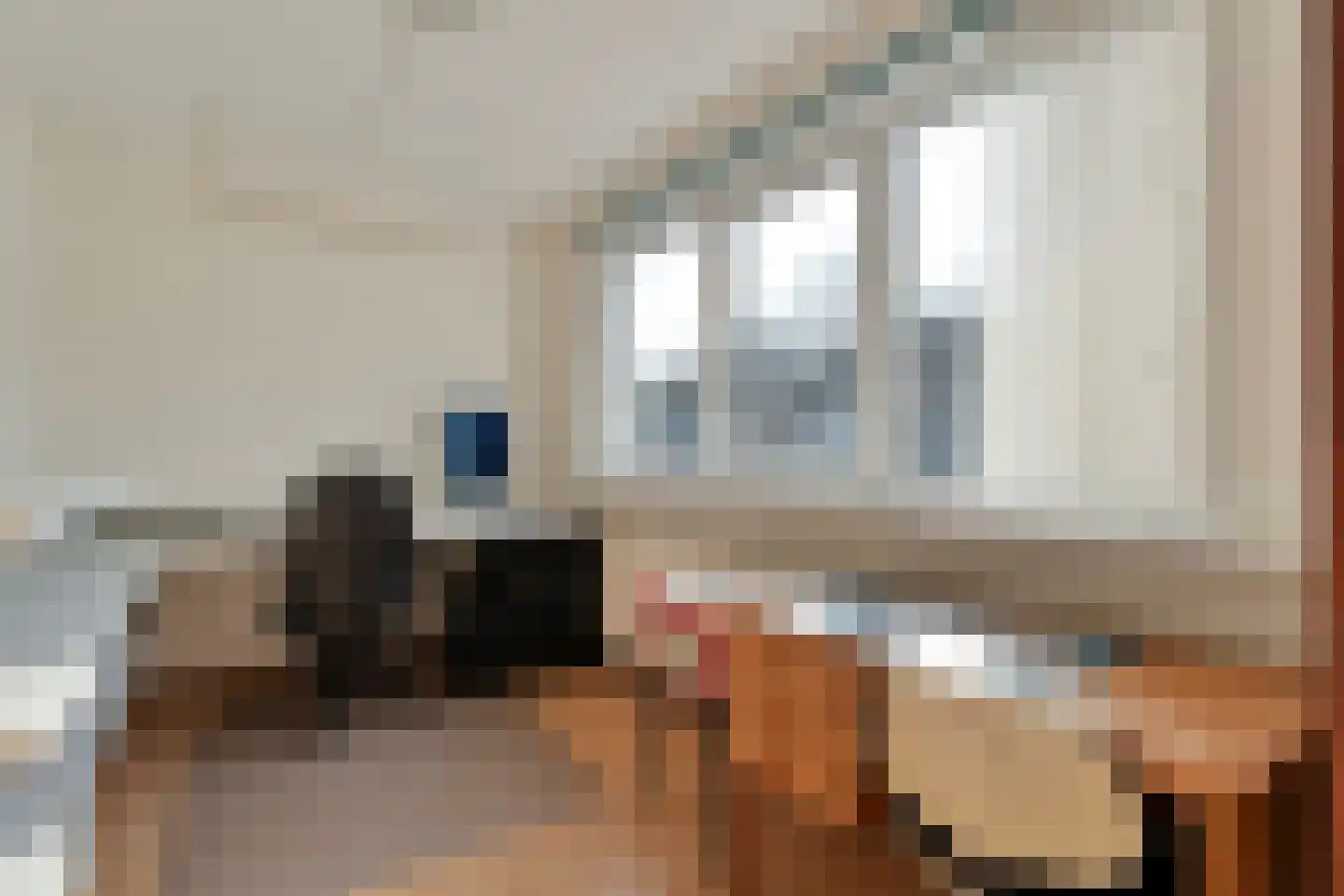 E E G laan 8 Coevorden thumbnail 28