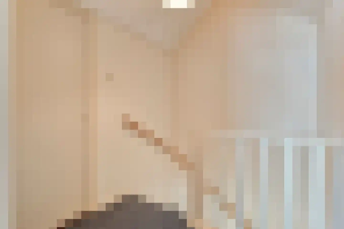 E E G laan 8 Coevorden thumbnail 30