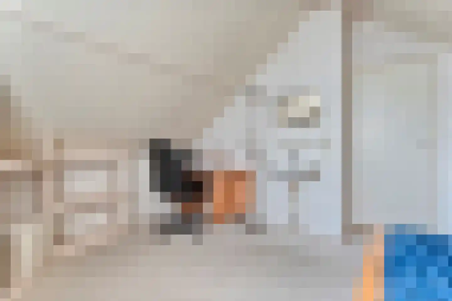 E E G laan 8 Coevorden thumbnail 32