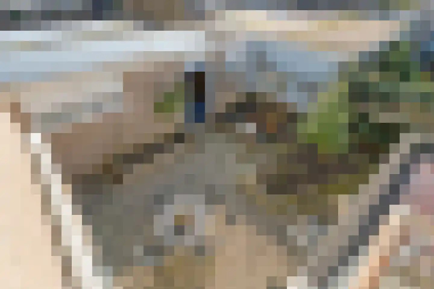 E E G laan 8 Coevorden thumbnail 33